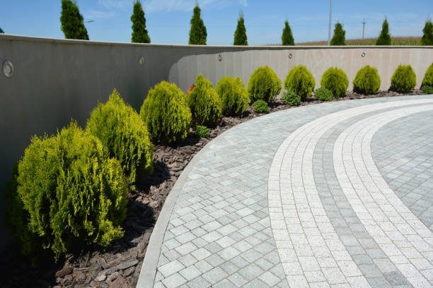 Best Cobblestone Driveway Pavers  in Big Lake, MN